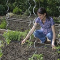 Tropfbewässerungssysteme für die Gartenpflege