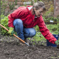 Die Vorteile von Handjäten und Hacken im biologischen Gartenbau