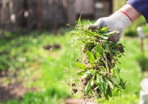 Herbizide und Unkrautvernichter: Was Sie wissen müssen